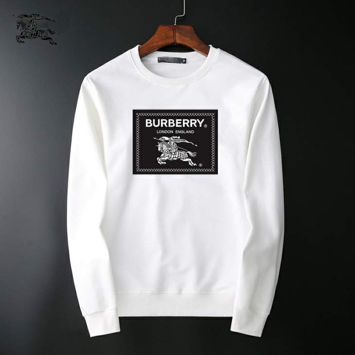 Picture of Burberry Sweatshirt _SKUBurberryM-3XL25tr31230786